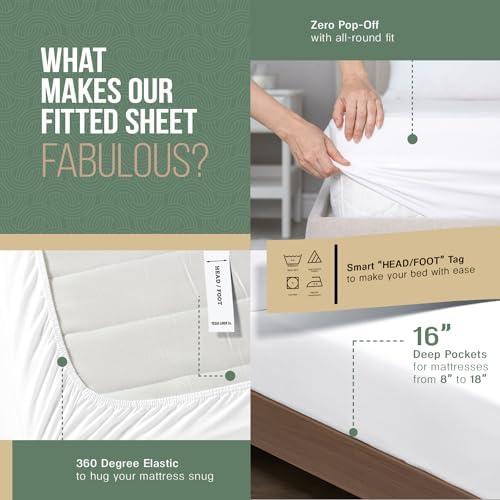Texas Linen Co Organic Cotton Percale Sheets Twin XL Set