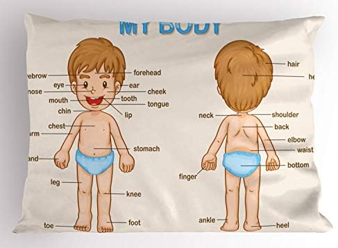 Ambesonne Science Pillow Sham - Body Parts Cartoon Boy 36 x 20 Pale Blue