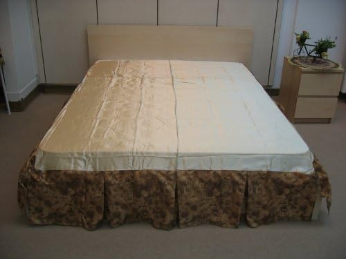 DaDa Bedding BM6118L-1 Beige Runway Bed Skirt Twin