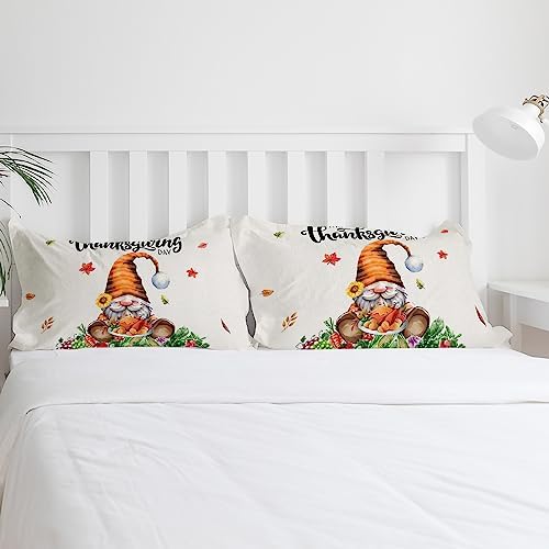ZOE GARDEN Turkey Day Queen Duvet Cover Set with Zipper and Tiers