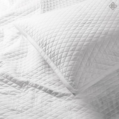 BIOWEAVES Organic Cotton Quilt Twin Set