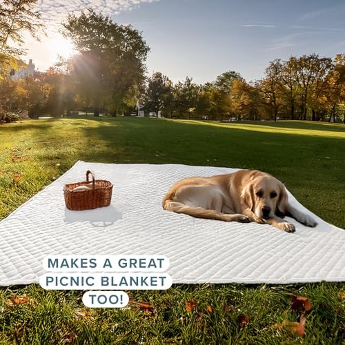 Bare Home Premium 3 Piece Quilt Set - King Size - White
