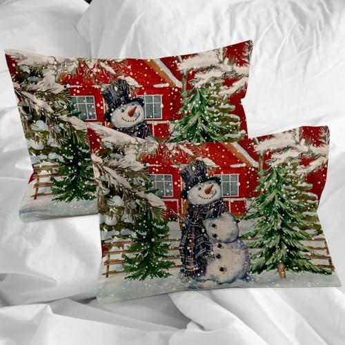 HelloWink Christmas Snowman Duvet Cover 3 Piece King Size Set