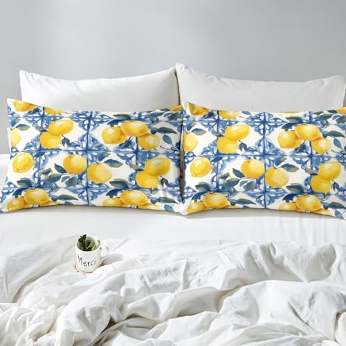 Feelyou Lemon Kids Duvet Cover Set Queen Size 1