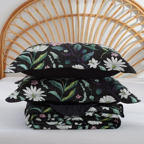 EVENHUG Black Botanical Quilt Set King Size 3 Pieces
