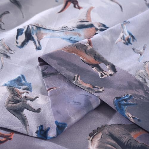 SDIII 4PCS Dinosaur Queen Sheet Set Soft Microfiber Dino Bedding for Kids