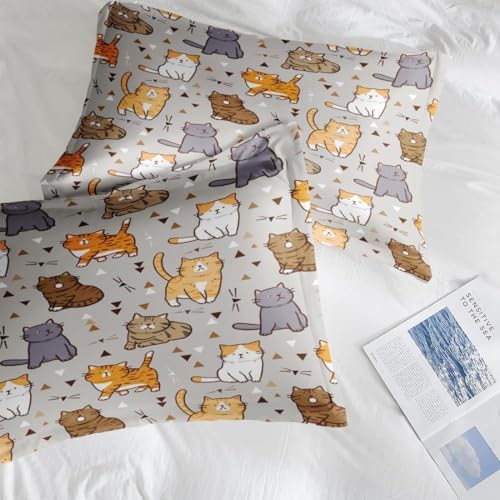 Pamnest Queen Size Bed Sheet Set with Cute Cat Design