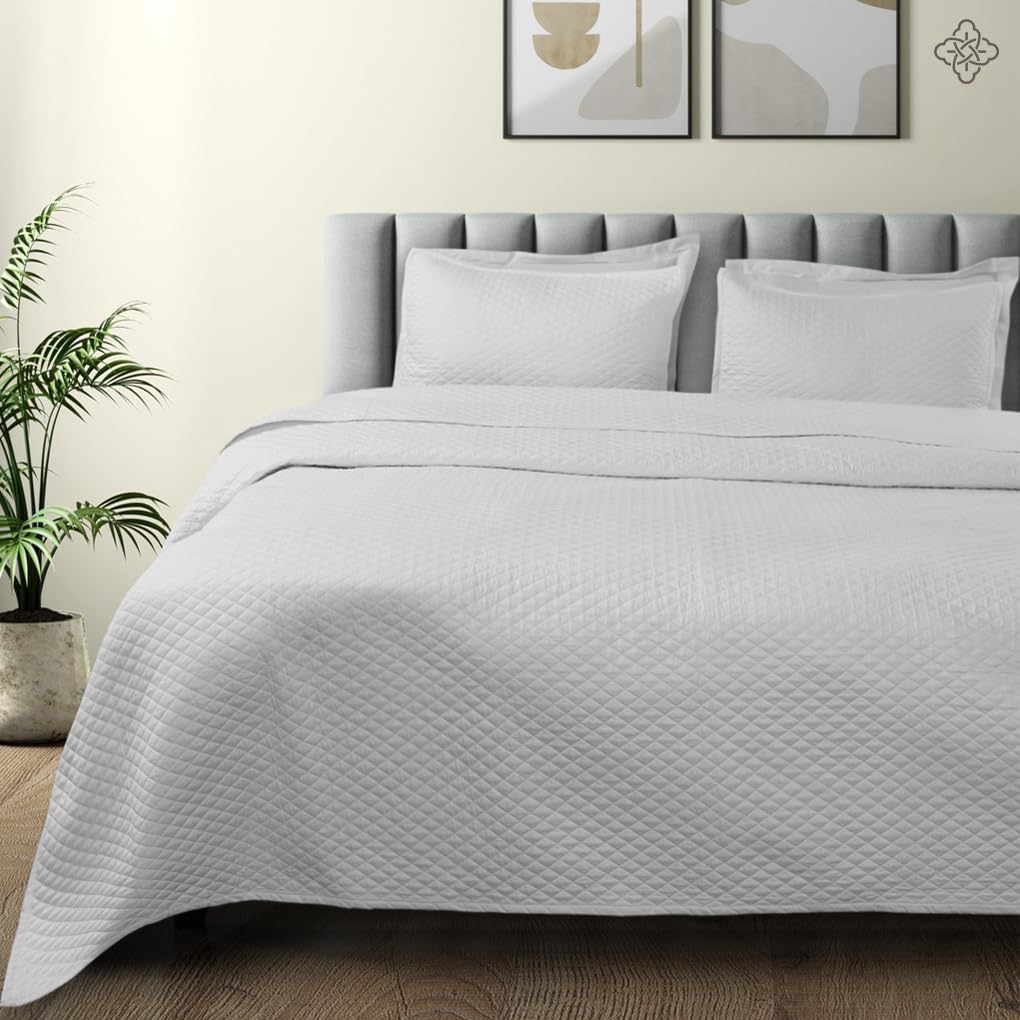 BIOWEAVES Organic Cotton Quilt Twin Set