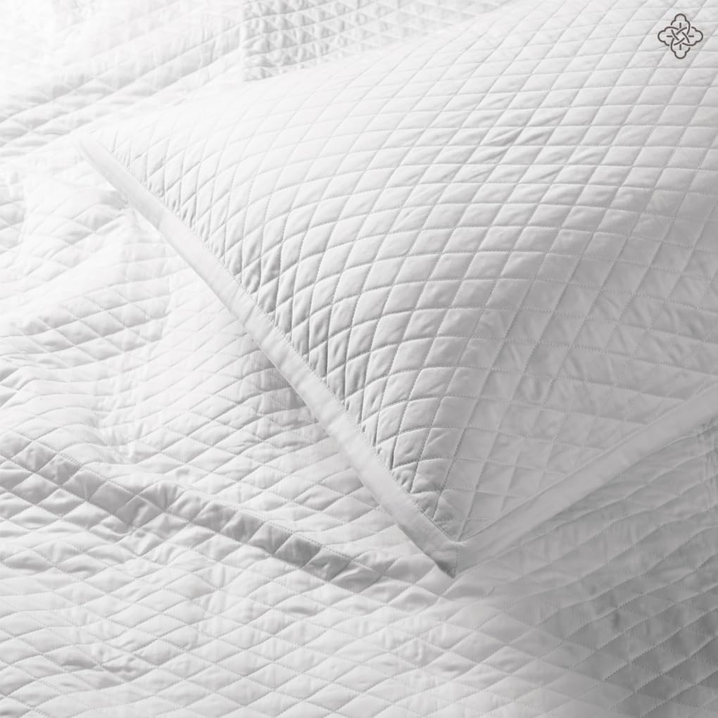 BIOWEAVES Organic Cotton Quilt Twin Set
